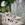 Zapato Angari MINI TACHAS nude - Imagen 1