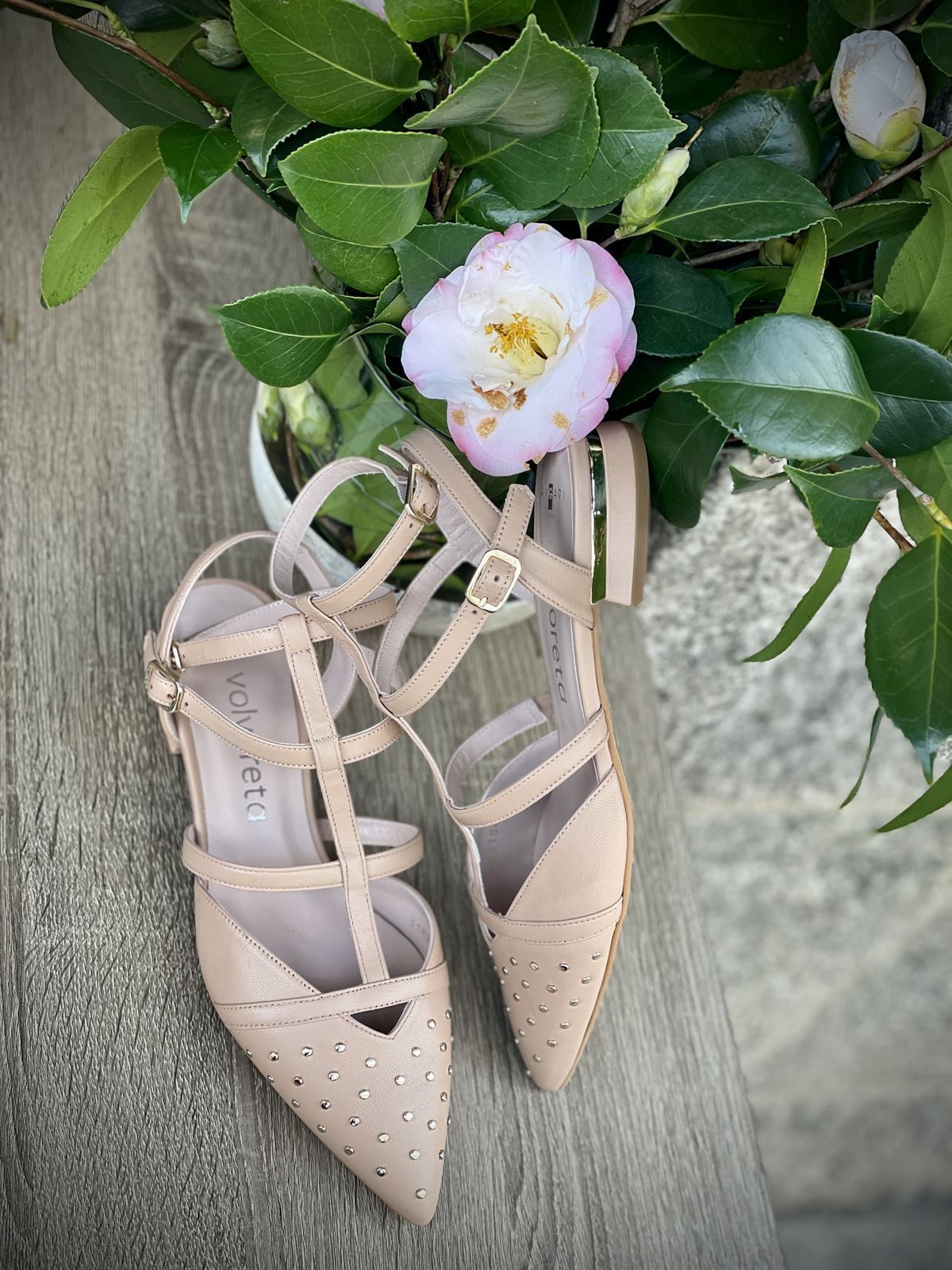 Zapato Angari MINI TACHAS nude - Imagen 5