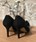 Zapato Angari negro pompon - Imagen 2