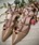Zapato Angari tachuelas nude - Imagen 2