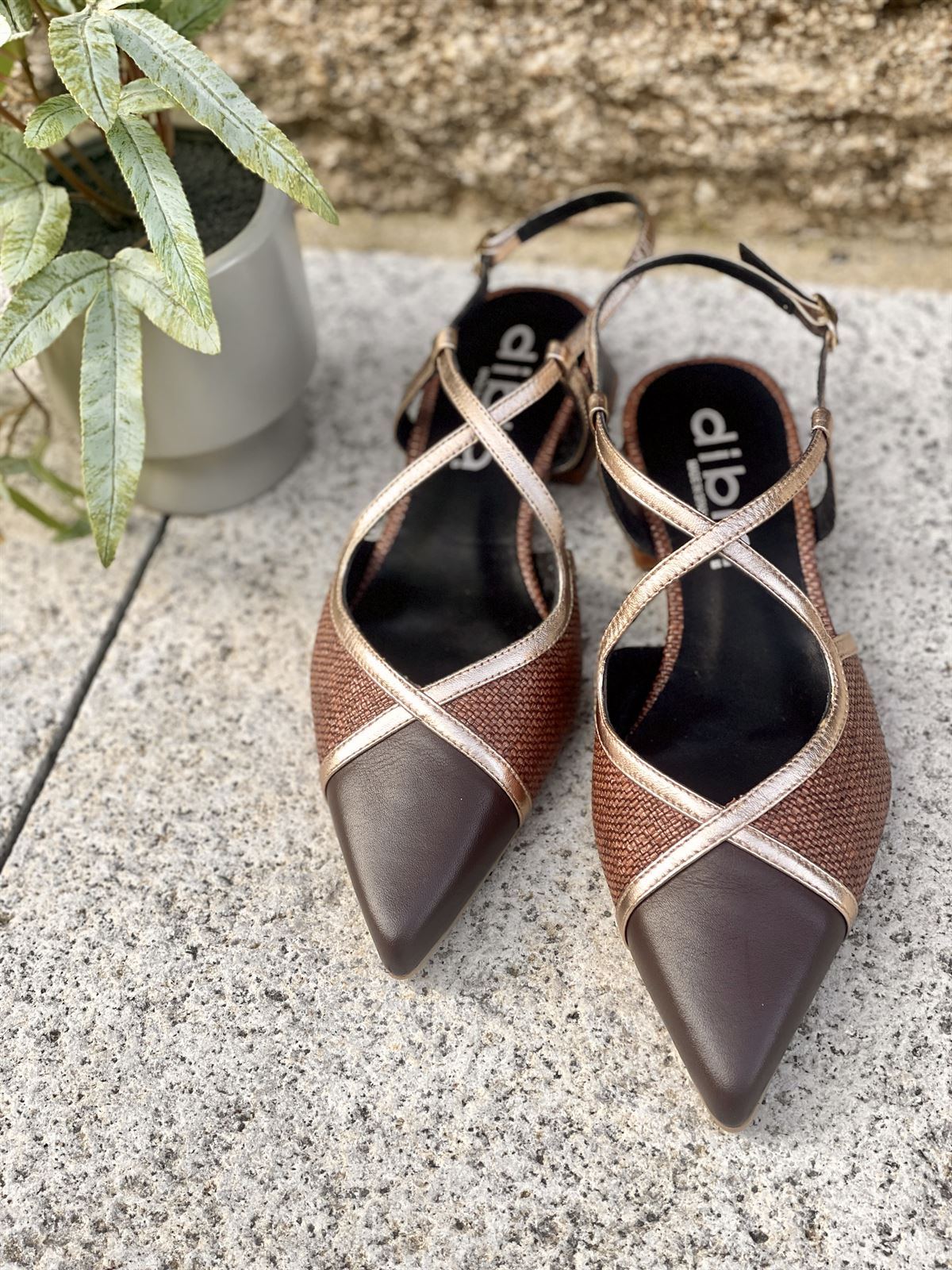 Zapato bailarina Dibia by Ezzio 56145-2 tiras cruzadas cacao y  marrón - Imagen 1