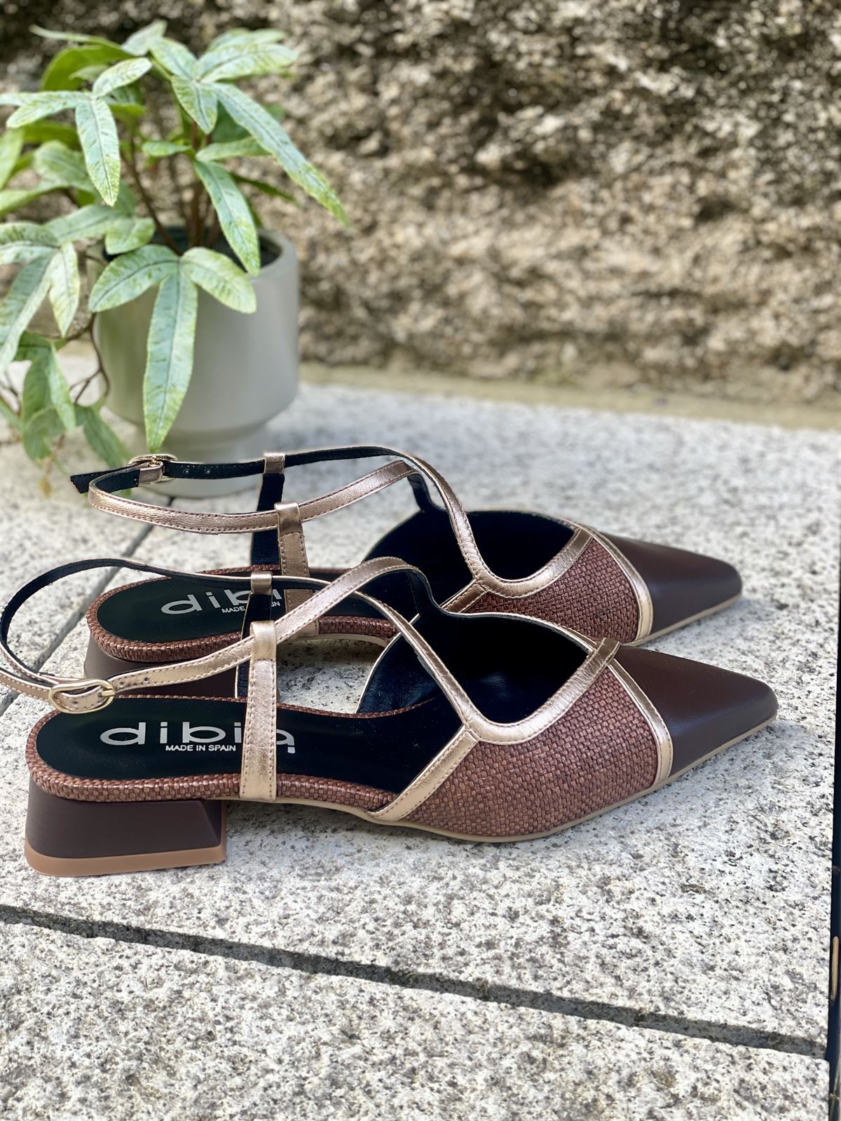 Zapato bailarina Dibia by Ezzio 56145-2 tiras cruzadas cacao y  marrón - Imagen 2