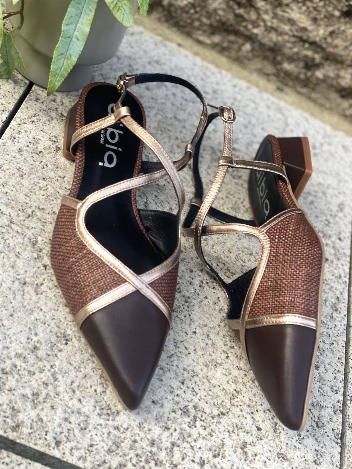 Zapato bailarina Dibia by Ezzio 56145-2 tiras cruzadas cacao y  marrón - Imagen 3