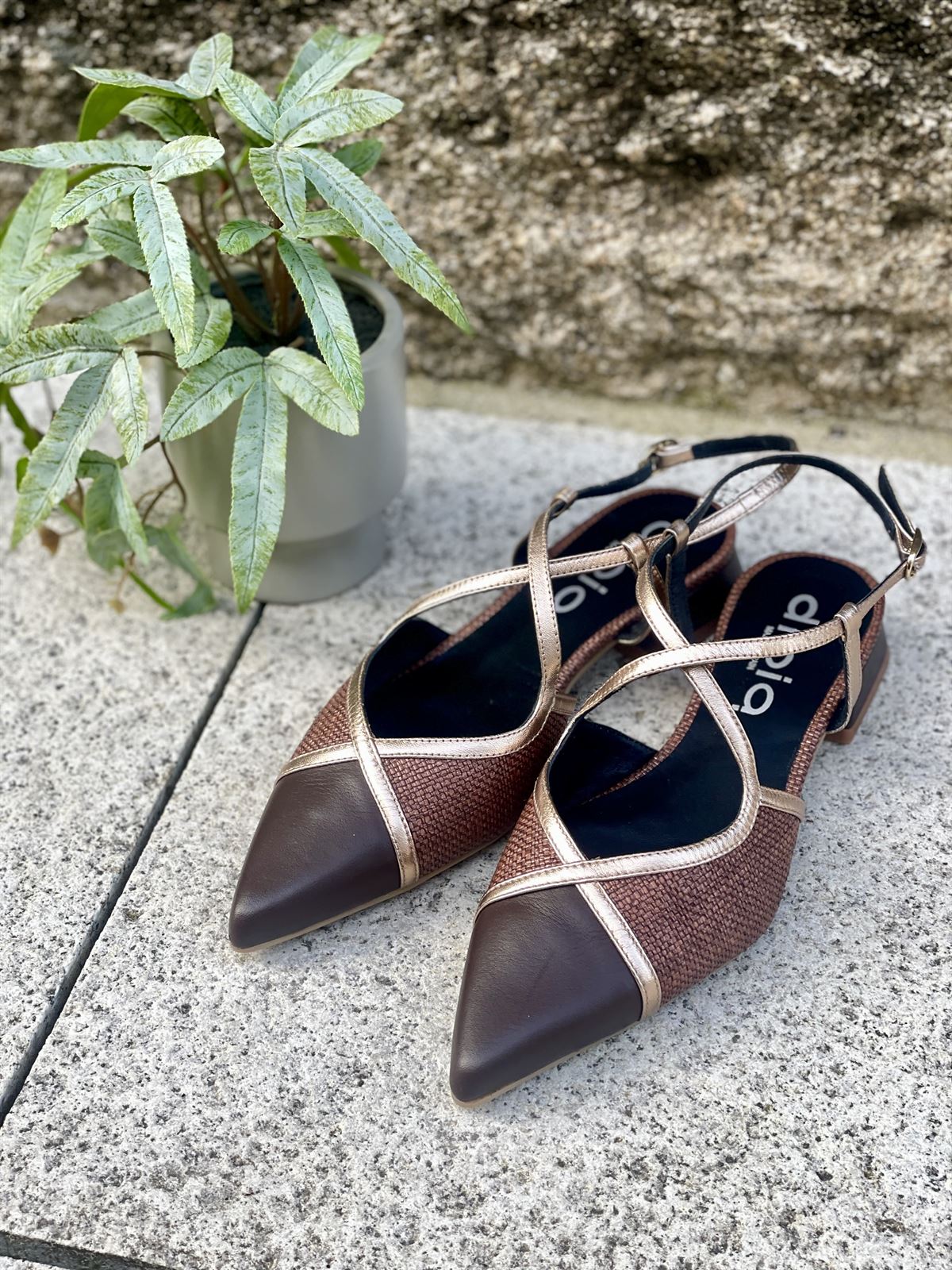 Zapato bailarina Dibia by Ezzio 56145-2 tiras cruzadas cacao y  marrón - Imagen 4