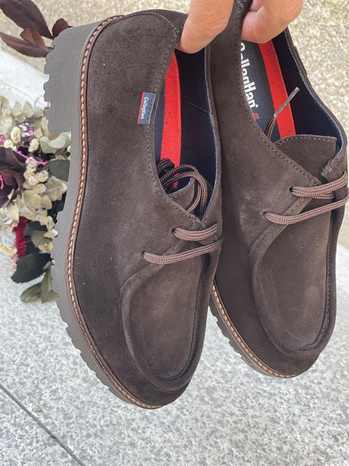 Zapato Callaghan 13452 TUNA TESTA Marrón chocolate - Imagen 1
