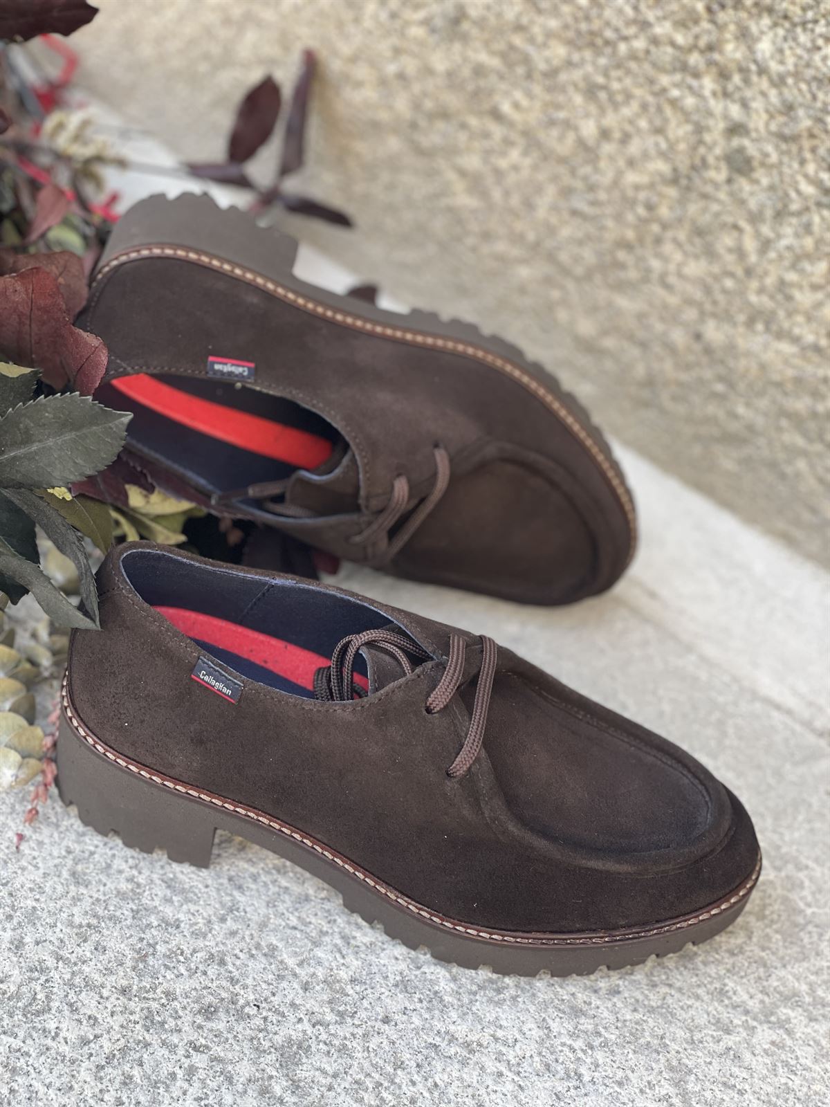 Zapato Callaghan 13452 TUNA TESTA Marrón chocolate - Imagen 2