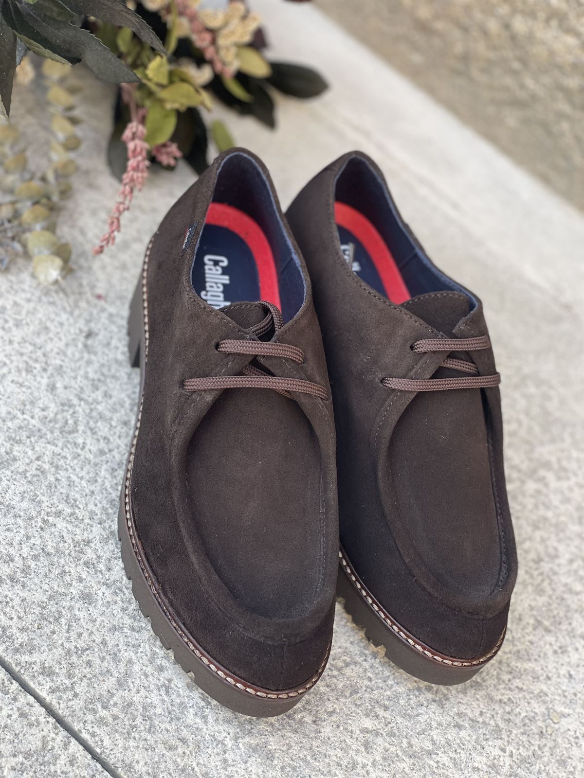 Zapato Callaghan 13452 TUNA TESTA Marrón chocolate - Imagen 5