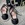 Zapato Candelitas negro atar - Imagen 2