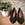Zapato EV piel escote pico negro - Imagen 2
