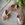 zapato T infinito charol salmon - Imagen 1