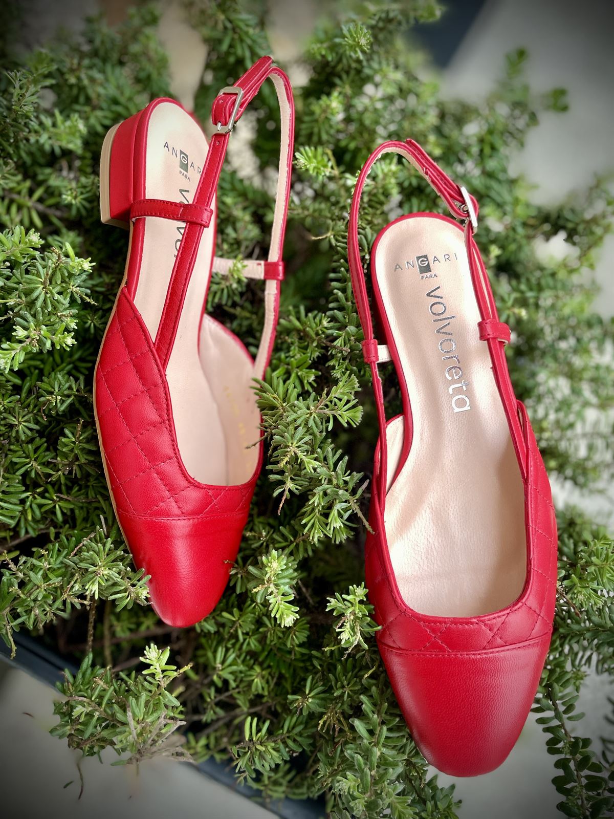 Zapatos Angari bailarinas puntera roja - Imagen 2