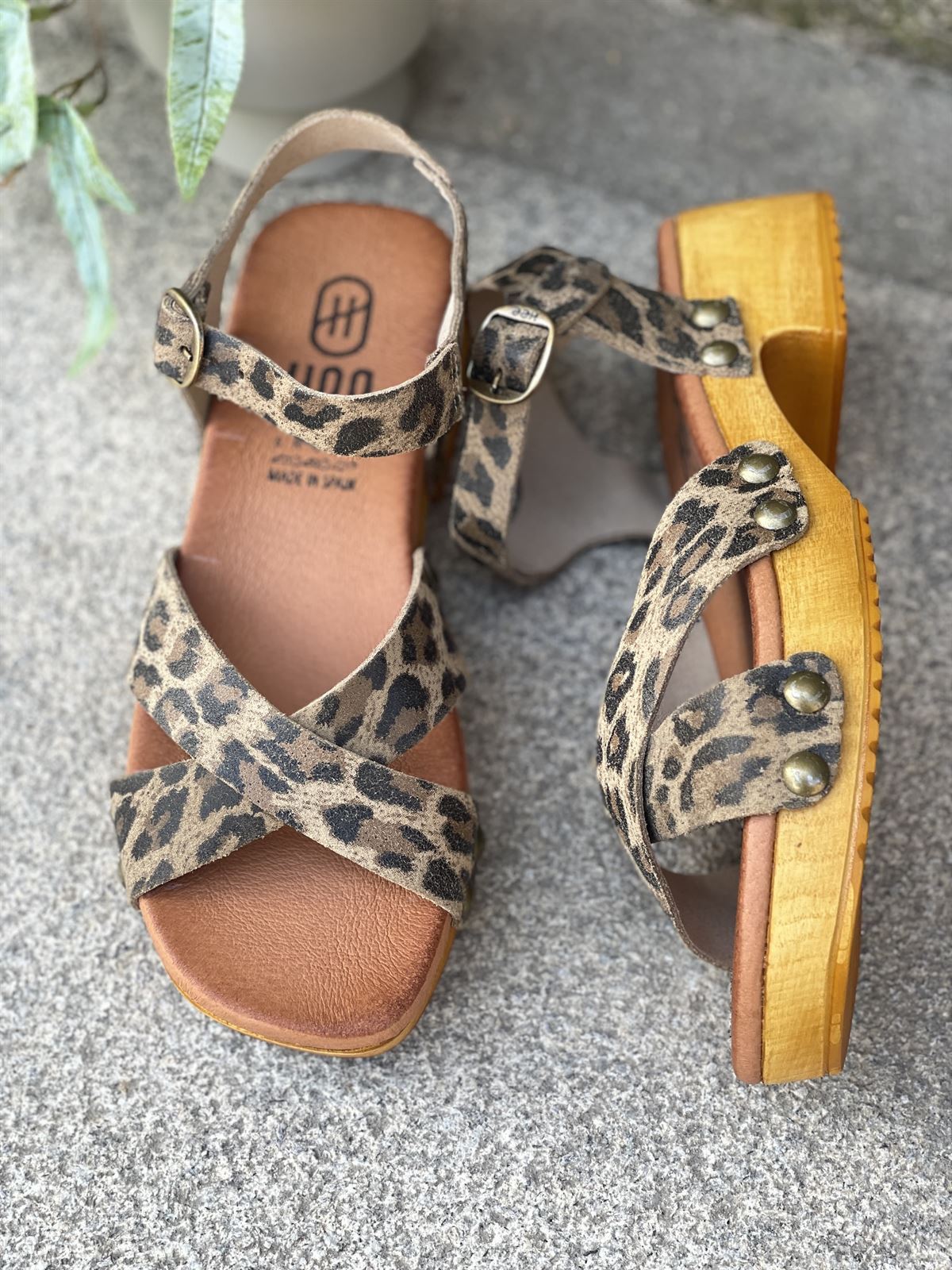Zueco 25346 HEE SHOES piel leopardo print - Imagen 2