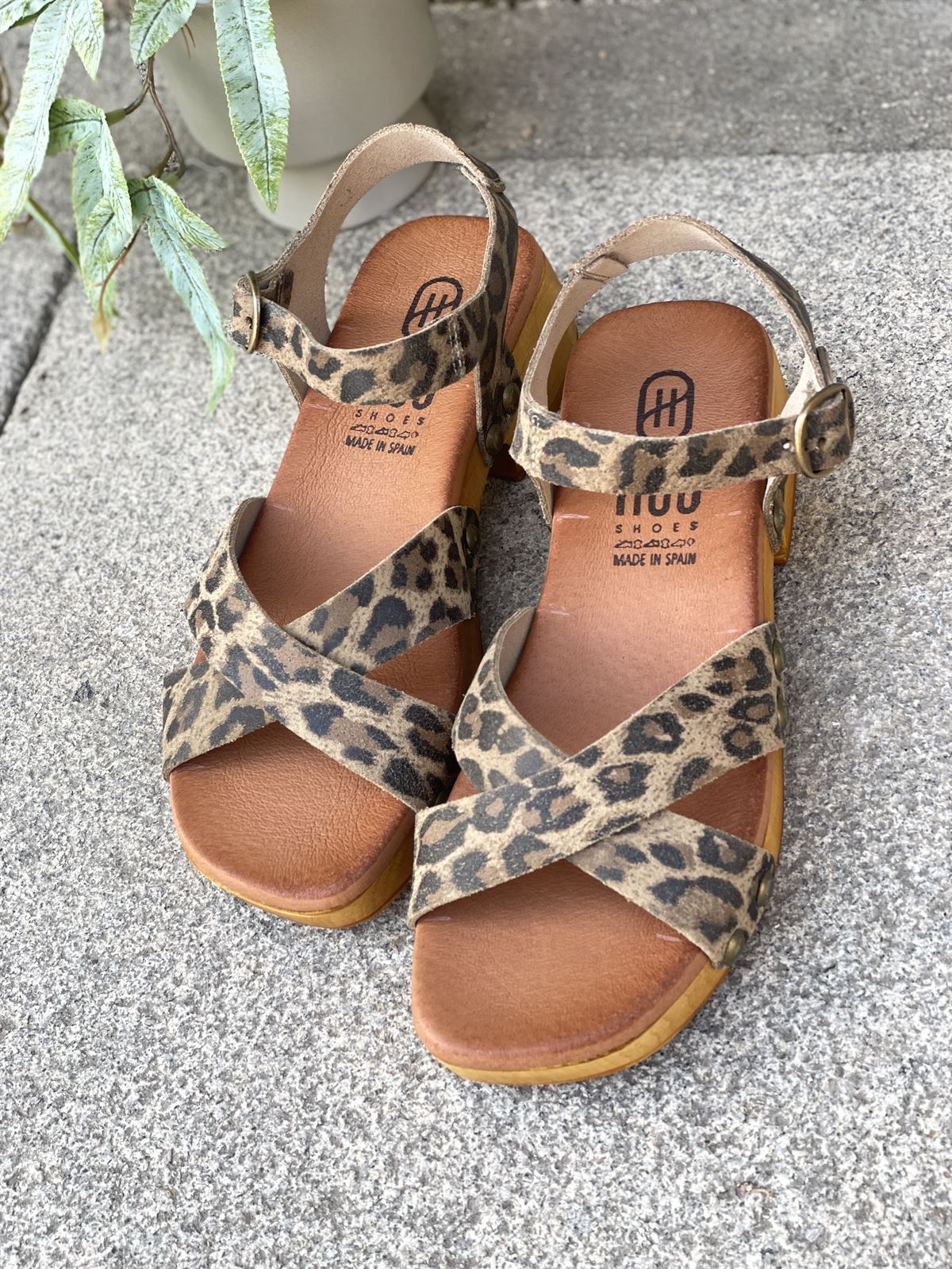 Zueco 25346 HEE SHOES piel leopardo print - Imagen 4
